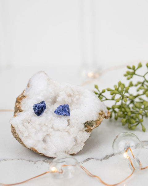 Sodalite Earrings